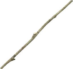 Bâton long